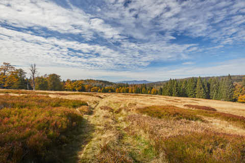 Gemeinde Lindberg Landkreis Regen Hochschachten Schachtenwanderung (Dirschl Johann) Deutschland REG